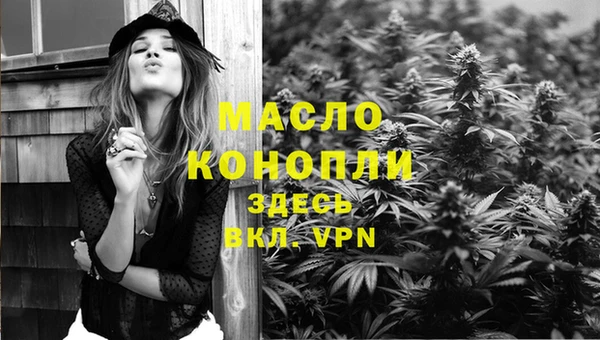 твердый Дмитров