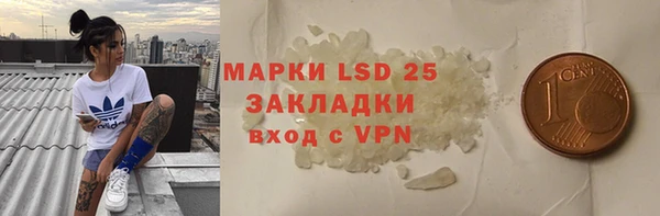 прущие грибы Алексин