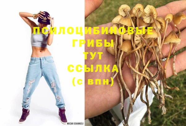 прущие грибы Алексин