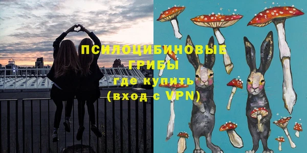 ешки Алзамай